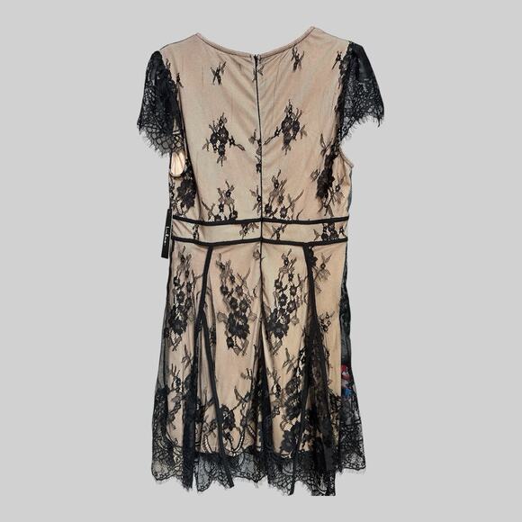 Lulus Lace Overlay Mini Dress Skater Deep V Whimsigoth Feminine LG - Picture 2 of 12
